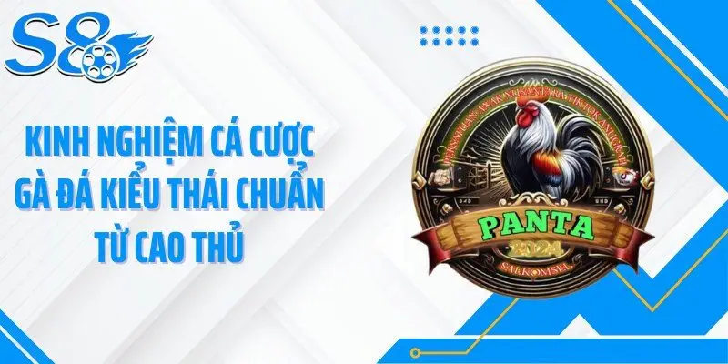 Kinh nghiệm cá cược gà đá kiểu Thái chuẩn từ cao thủ